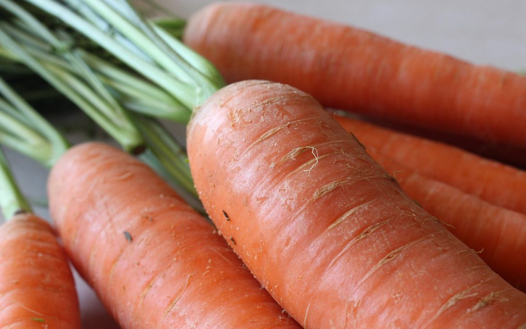 ¿Por qué las zanahorias son naranjas?