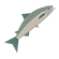 Pescado icon