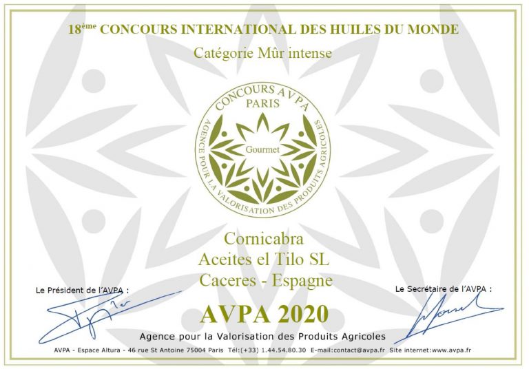 Diploma jpeg 768x536