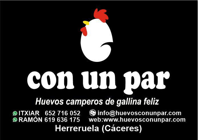 flyer 1