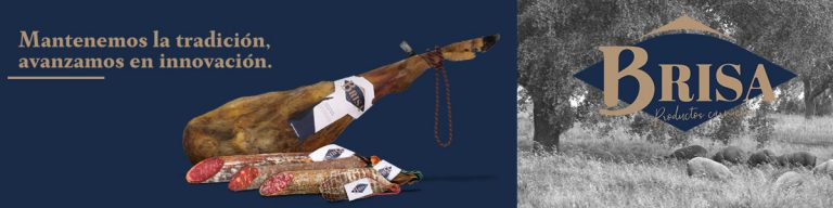 2020 04 30 Brisa Banner para marketplace 1200x300px 768x192