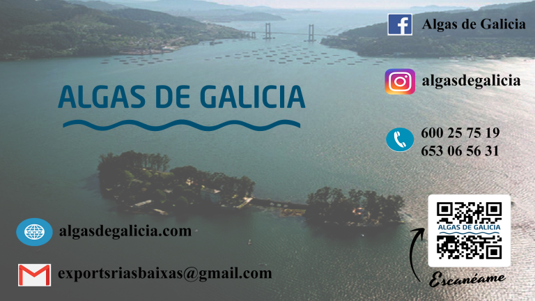 Card 768x432