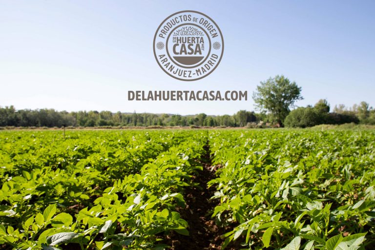 delahuertacasa 001C 768x512