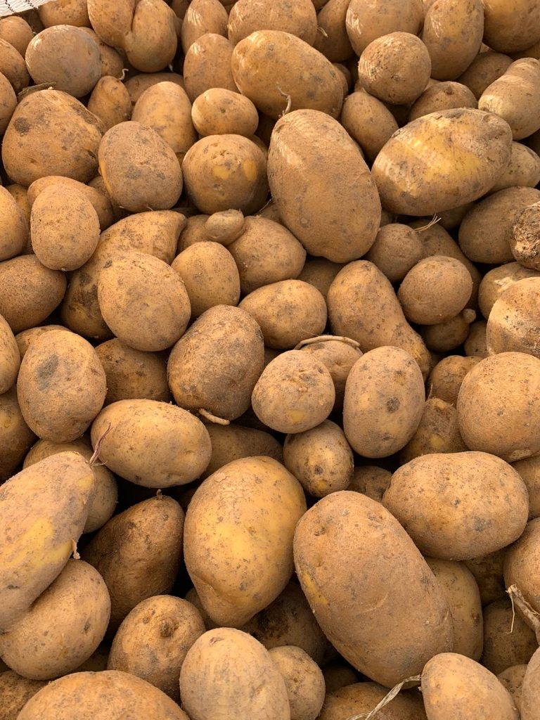 inbound3399857692394304927 768x1024