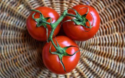 Recetas para aprovechar al 100% el tomate natural