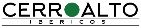 logo ca web 1