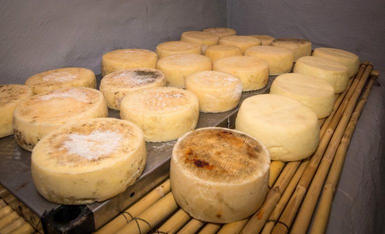 Queso Cortijo de Daniela 15 768x468