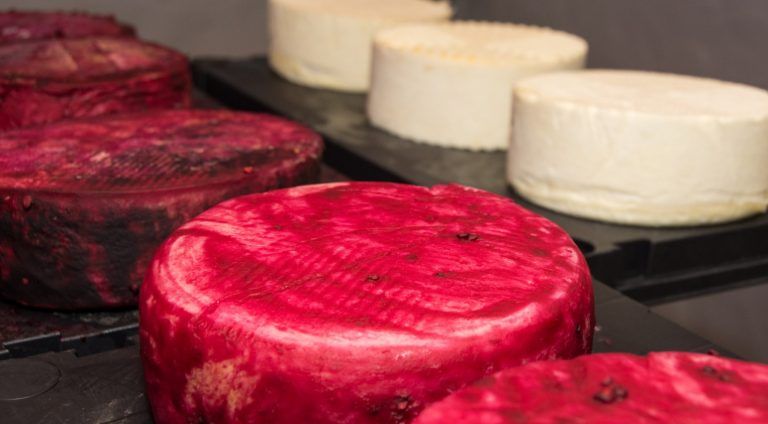 Queso Cortijo de Daniela 16 768x424