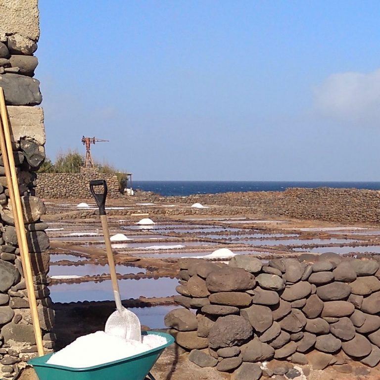IMG 20200207 162741 061 01 768x768