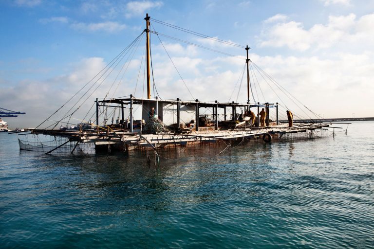 ostras de valencia 02 768x512