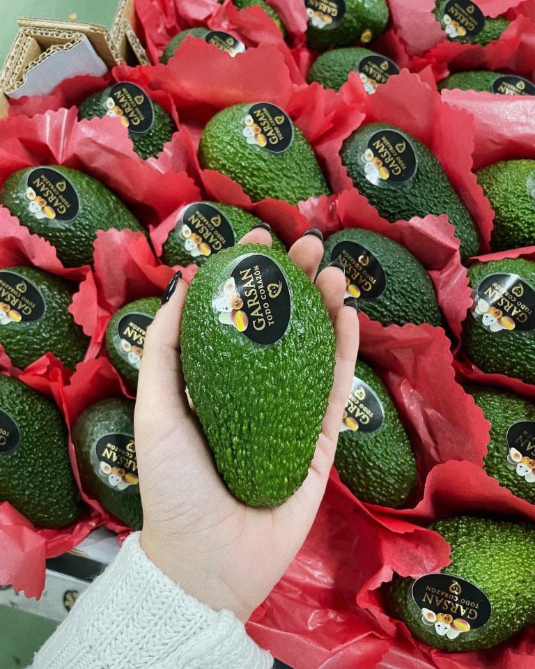 aguacate 768x960