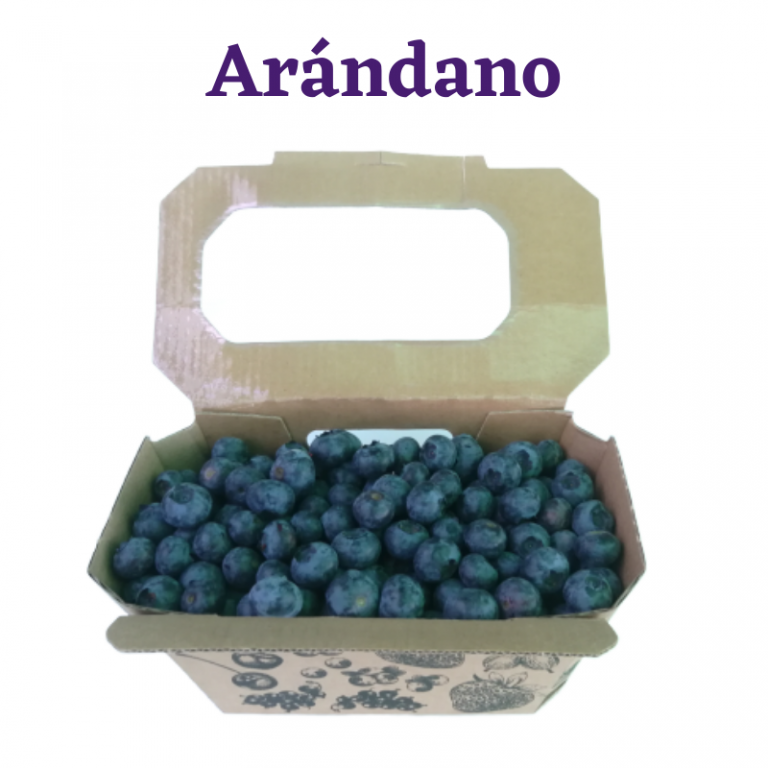 venta fruta arandano 768x768