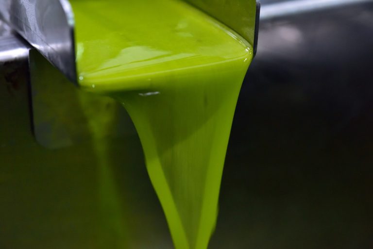 aceituna 2020 3300 768x513