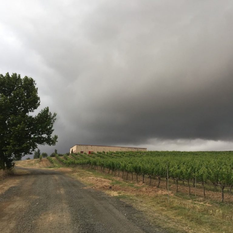 monte odina bodega cielo oscuro 768x768